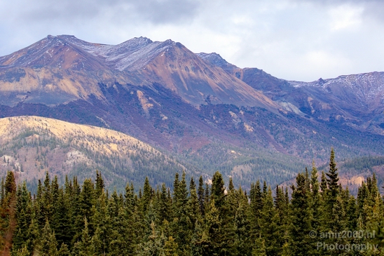 Denali_National_Park_Alaska_nature_landscape_Usa_Photography_037_Canon_EOS_5D_Mark_IV.JPG