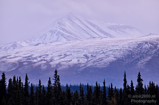 Denali_National_Park_Alaska_nature_landscape_Usa_Photography_038_Canon_EOS_5D_Mark_IV.JPG