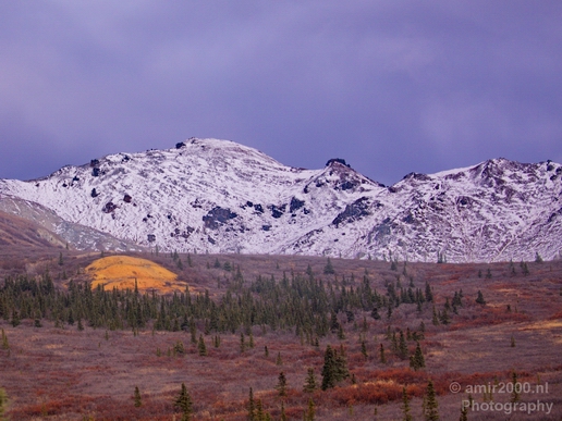Denali_National_Park_Alaska_nature_landscape_Usa_Photography_049_Canon_EOS_5D_Mark_IV.JPG