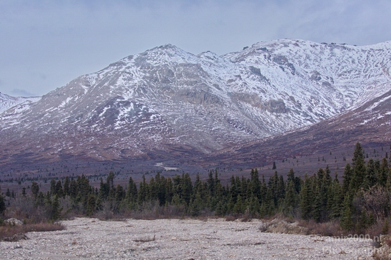 Denali_National_Park_Alaska_nature_landscape_Usa_Photography_050_Canon_EOS_5D_Mark_IV.JPG