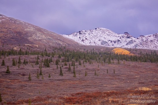 Denali_National_Park_Alaska_nature_landscape_Usa_Photography_051_Canon_EOS_5D_Mark_IV.JPG