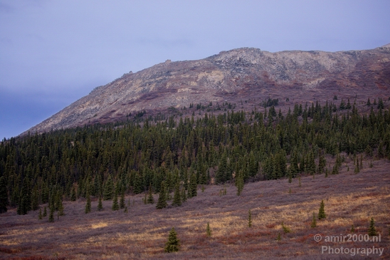 Denali_National_Park_Alaska_nature_landscape_Usa_Photography_052_Canon_EOS_5D_Mark_IV.JPG