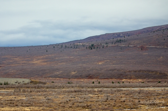 Denali_National_Park_Alaska_nature_landscape_Usa_Photography_053_Canon_EOS_5D_Mark_IV.JPG