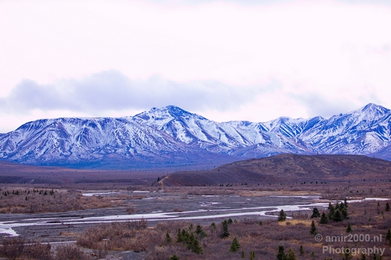 Denali_National_Park_Alaska_nature_landscape_Usa_Photography_054_Canon_EOS_5D_Mark_IV.JPG