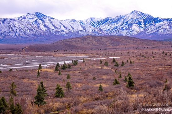 Denali_National_Park_Alaska_nature_landscape_Usa_Photography_055_Canon_EOS_5D_Mark_IV.JPG