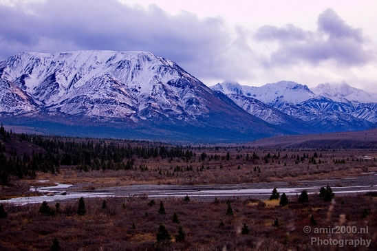 Denali_National_Park_Alaska_nature_landscape_Usa_Photography_056_Canon_EOS_5D_Mark_IV.JPG