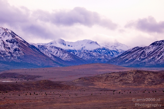 Denali_National_Park_Alaska_nature_landscape_Usa_Photography_057_Canon_EOS_5D_Mark_IV.JPG