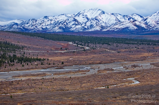 Denali_National_Park_Alaska_nature_landscape_Usa_Photography_058_Canon_EOS_5D_Mark_IV.JPG