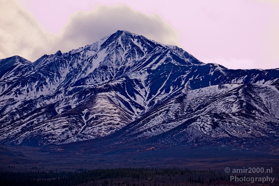 Denali_National_Park_Alaska_nature_landscape_Usa_Photography_059_Canon_EOS_5D_Mark_IV.JPG