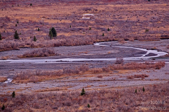 Denali_National_Park_Alaska_nature_landscape_Usa_Photography_060_Canon_EOS_5D_Mark_IV.JPG