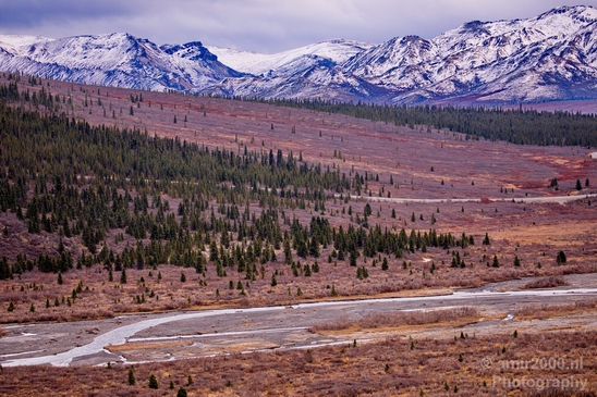 Denali_National_Park_Alaska_nature_landscape_Usa_Photography_061_Canon_EOS_5D_Mark_IV.JPG