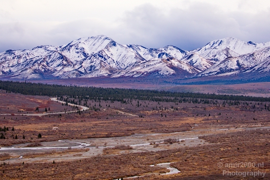 Denali_National_Park_Alaska_nature_landscape_Usa_Photography_062_Canon_EOS_5D_Mark_IV.JPG