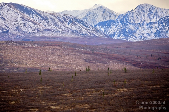 Denali_National_Park_Alaska_nature_landscape_Usa_Photography_064_Canon_EOS_5D_Mark_IV.JPG