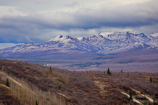 Denali_National_Park_Alaska_nature_landscape_Usa_Photography_067_Canon_EOS_5D_Mark_IV.JPG