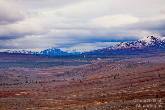 Denali_National_Park_Alaska_nature_landscape_Usa_Photography_068_Canon_EOS_5D_Mark_IV.JPG