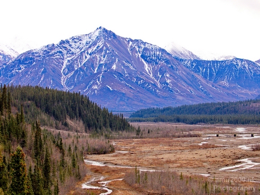 Denali_National_Park_Alaska_nature_landscape_Usa_Photography_079_Canon_EOS_5D_Mark_IV.JPG