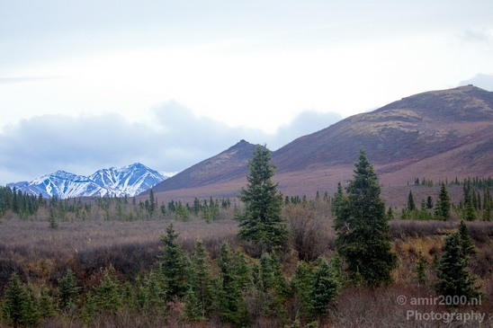 Denali_National_Park_Alaska_nature_landscape_Usa_Photography_083_Canon_EOS_5D_Mark_IV.JPG