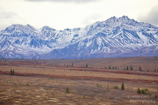 Denali_National_Park_Alaska_nature_landscape_Usa_Photography_085_Canon_EOS_5D_Mark_IV.JPG