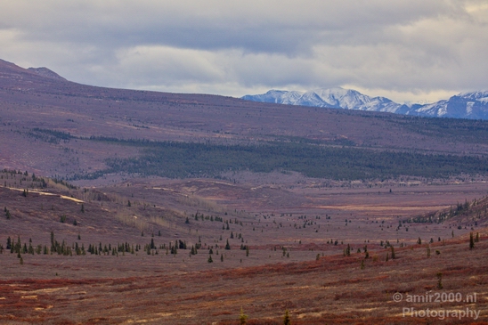 Denali_National_Park_Alaska_nature_landscape_Usa_Photography_086_Canon_EOS_5D_Mark_IV.JPG