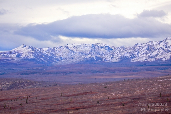 Denali_National_Park_Alaska_nature_landscape_Usa_Photography_087_Canon_EOS_5D_Mark_IV.JPG