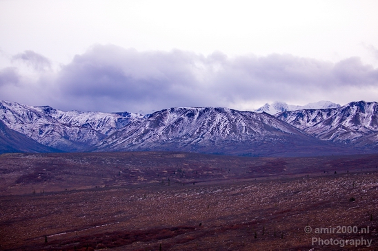 Denali_National_Park_Alaska_nature_landscape_Usa_Photography_088_Canon_EOS_5D_Mark_IV.JPG