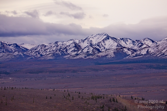 Denali_National_Park_Alaska_nature_landscape_Usa_Photography_089_Canon_EOS_5D_Mark_IV.JPG