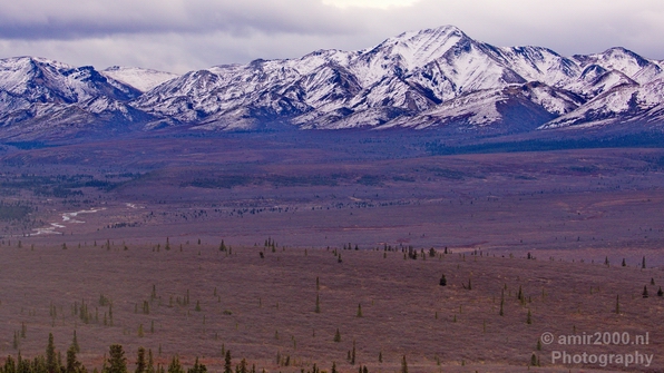 Denali_National_Park_Alaska_nature_landscape_Usa_Photography_090_Canon_EOS_5D_Mark_IV.JPG