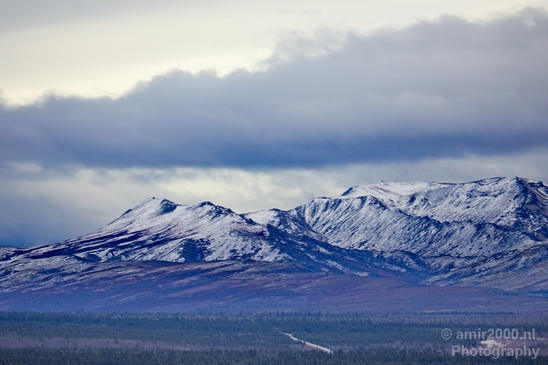 Denali_National_Park_Alaska_nature_landscape_Usa_Photography_091_Canon_EOS_5D_Mark_IV.JPG