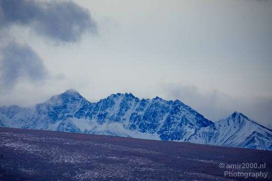 Denali_National_Park_Alaska_nature_landscape_Usa_Photography_092_Canon_EOS_5D_Mark_IV.JPG