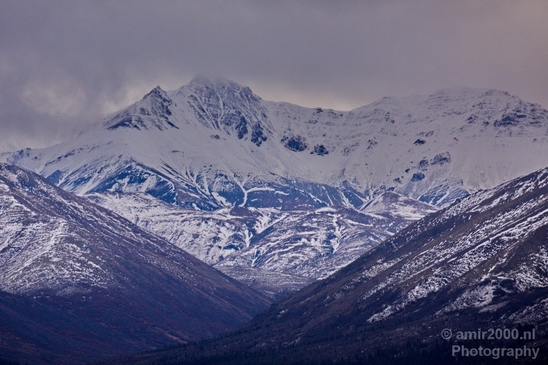 Denali_National_Park_Alaska_nature_landscape_Usa_Photography_094_Canon_EOS_5D_Mark_IV.JPG