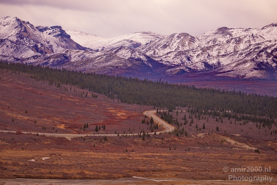 Denali_National_Park_Alaska_nature_landscape_Usa_Photography_095_Canon_EOS_5D_Mark_IV.JPG
