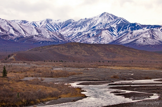Denali_National_Park_Alaska_nature_landscape_Usa_Photography_096_Canon_EOS_5D_Mark_IV.JPG