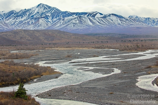 Denali_National_Park_Alaska_nature_landscape_Usa_Photography_097_Canon_EOS_5D_Mark_IV.JPG