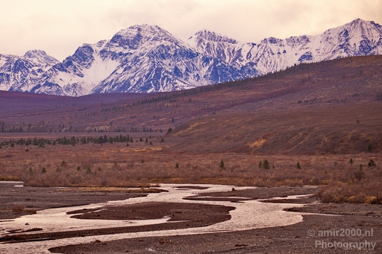 Denali_National_Park_Alaska_nature_landscape_Usa_Photography_098_Canon_EOS_5D_Mark_IV.JPG