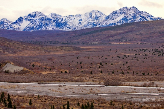 Denali_National_Park_Alaska_nature_landscape_Usa_Photography_104_Canon_EOS_5D_Mark_IV.JPG