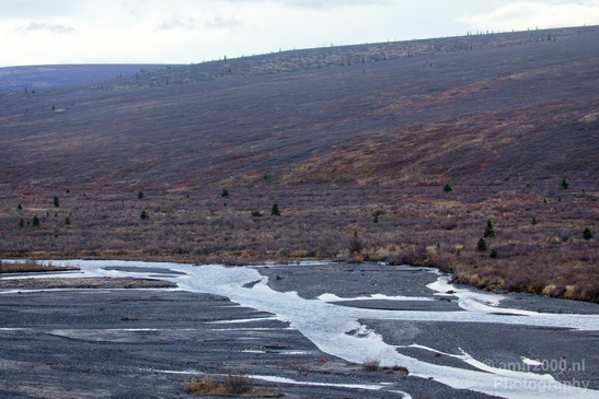 Denali_National_Park_Alaska_nature_landscape_Usa_Photography_105_Canon_EOS_5D_Mark_IV.JPG