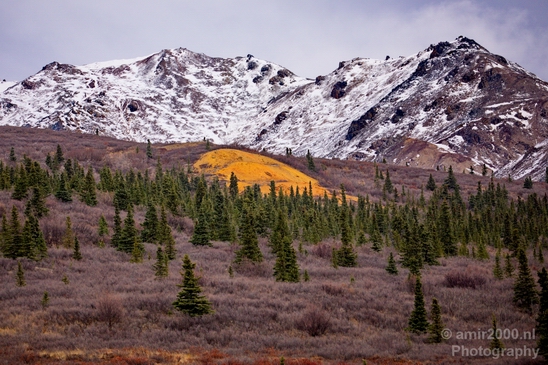 Denali_National_Park_Alaska_nature_landscape_Usa_Photography_106_Canon_EOS_5D_Mark_IV.JPG
