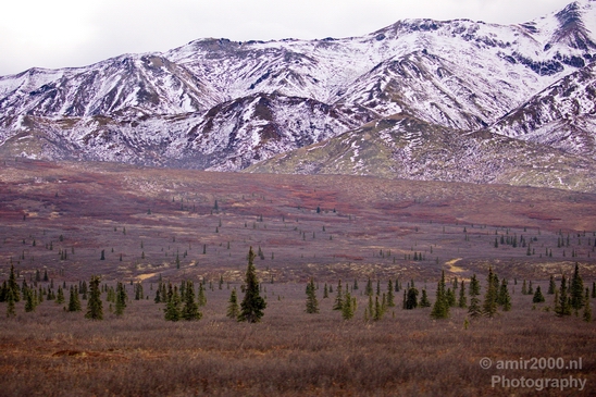 Denali_National_Park_Alaska_nature_landscape_Usa_Photography_107_Canon_EOS_5D_Mark_IV.JPG