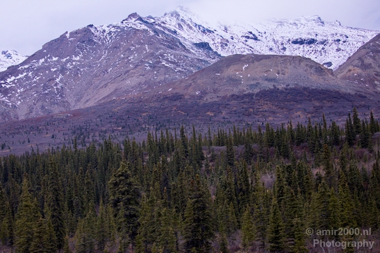 Denali_National_Park_Alaska_nature_landscape_Usa_Photography_108_Canon_EOS_5D_Mark_IV.JPG
