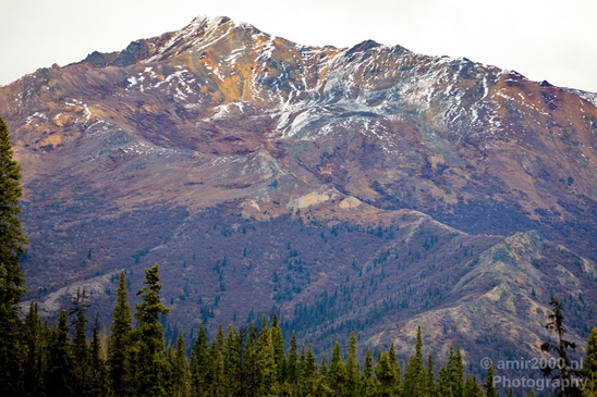 Denali_National_Park_Alaska_nature_landscape_Usa_Photography_109_Canon_EOS_5D_Mark_IV.JPG