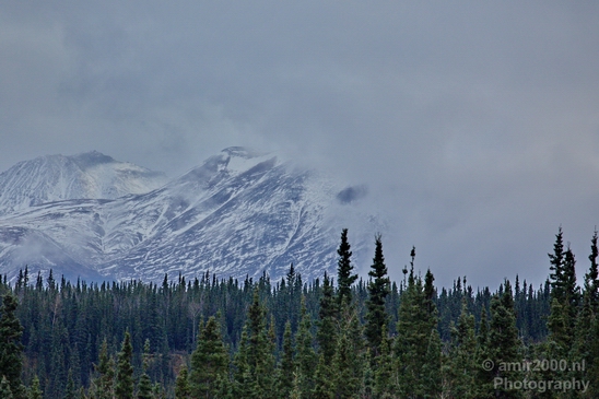Denali_National_Park_Alaska_nature_landscape_Usa_Photography_112_Canon_EOS_5D_Mark_IV.JPG