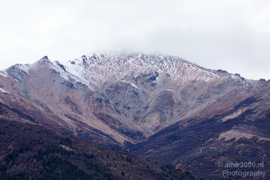 Denali_National_Park_Alaska_nature_landscape_Usa_Photography_114_Canon_EOS_5D_Mark_IV.JPG