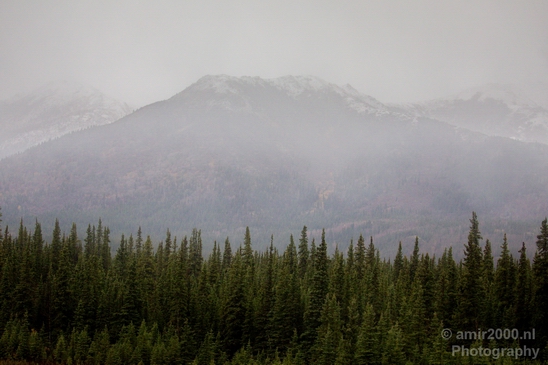 Denali_National_Park_Alaska_nature_landscape_Usa_Photography_142_Canon_EOS_5D_Mark_IV.JPG