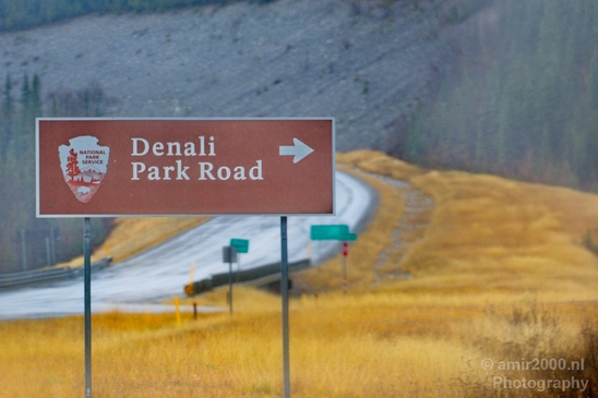 Denali_National_Park_Alaska_nature_landscape_Usa_Photography_143_Canon_EOS_5D_Mark_IV.JPG