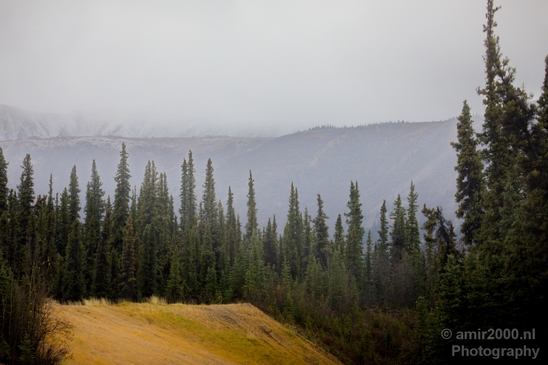 Denali_National_Park_Alaska_nature_landscape_Usa_Photography_146_Canon_EOS_5D_Mark_IV.JPG