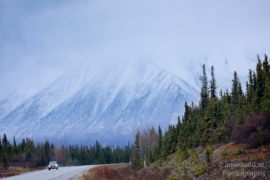 Denali_National_Park_Alaska_nature_landscape_Usa_Photography_147_Canon_EOS_5D_Mark_IV.JPG