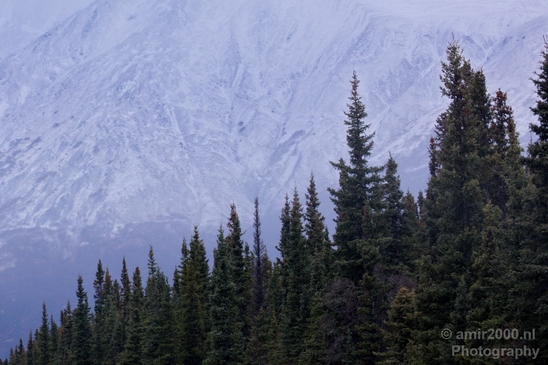 Denali_National_Park_Alaska_nature_landscape_Usa_Photography_148_Canon_EOS_5D_Mark_IV.JPG