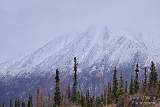 Denali_National_Park_Alaska_nature_landscape_Usa_Photography_152_Canon_EOS_5D_Mark_IV.JPG