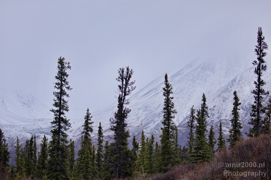 Denali_National_Park_Alaska_nature_landscape_Usa_Photography_154_Canon_EOS_5D_Mark_IV.JPG
