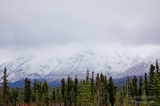 Denali_National_Park_Alaska_nature_landscape_Usa_Photography_158_Canon_EOS_5D_Mark_IV.JPG
